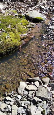 $269,900 | 457 Hervey Street Road, Cornwallville, NY 12418