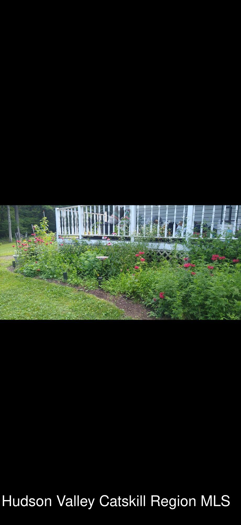 457 Hervey Street Road Cornwallville, NY 12418 - Photo 56 of 61 a view of a back yard