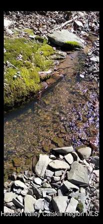 $269,900 | 457 Hervey Street Road, Cornwallville, NY 12418