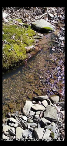 $269,900 | 457 Hervey Street Road, Cornwallville, NY 12418