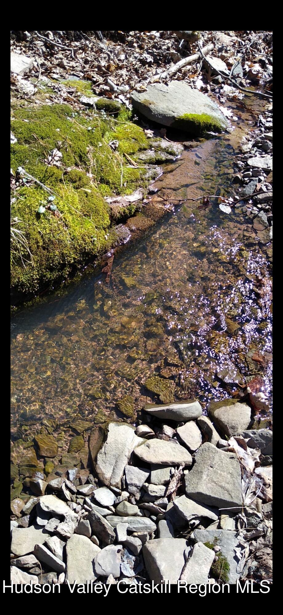 457 Hervey Street Road Cornwallville, NY 12418 - Photo 58 of 61 IMG_8019