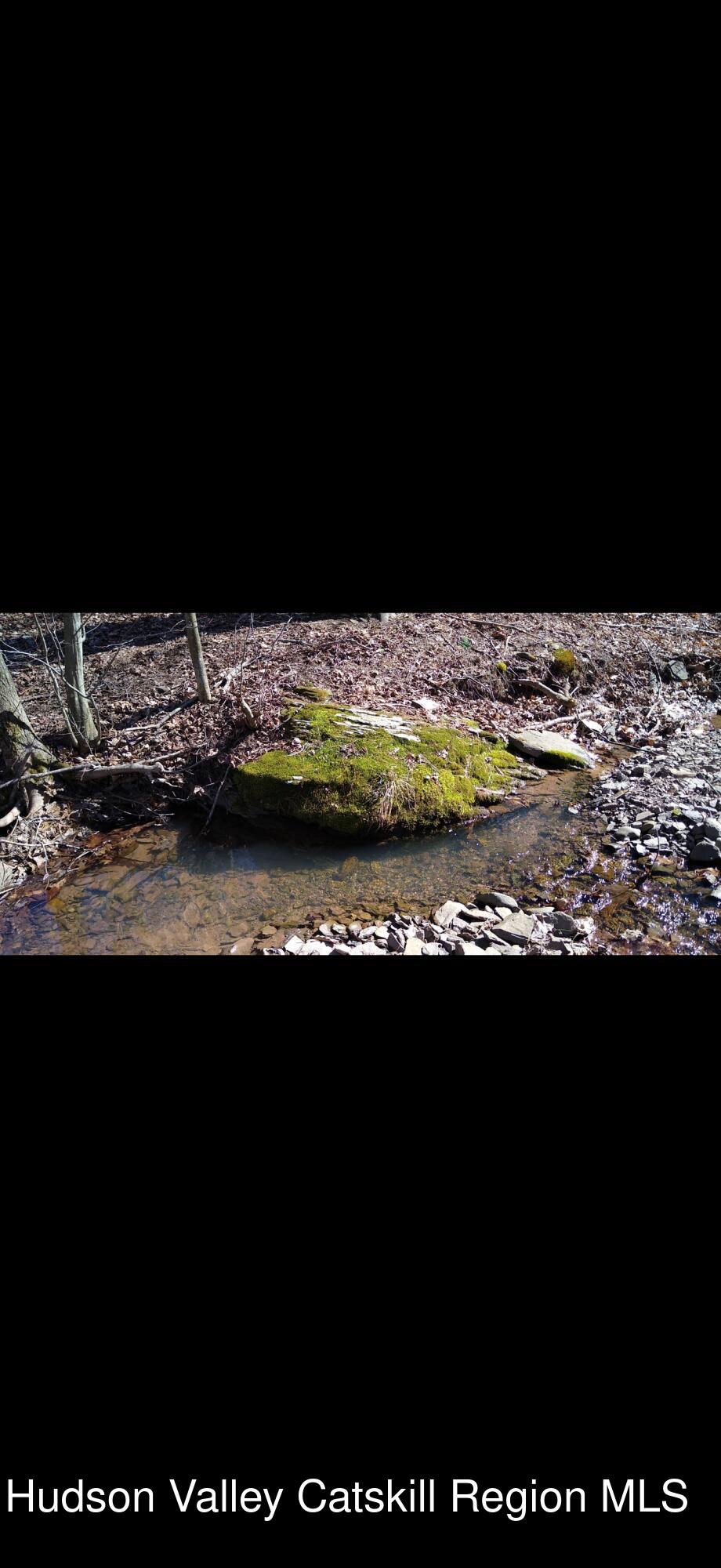 457 Hervey Street Road Cornwallville, NY 12418 - Photo 61 of 61 IMG_8022