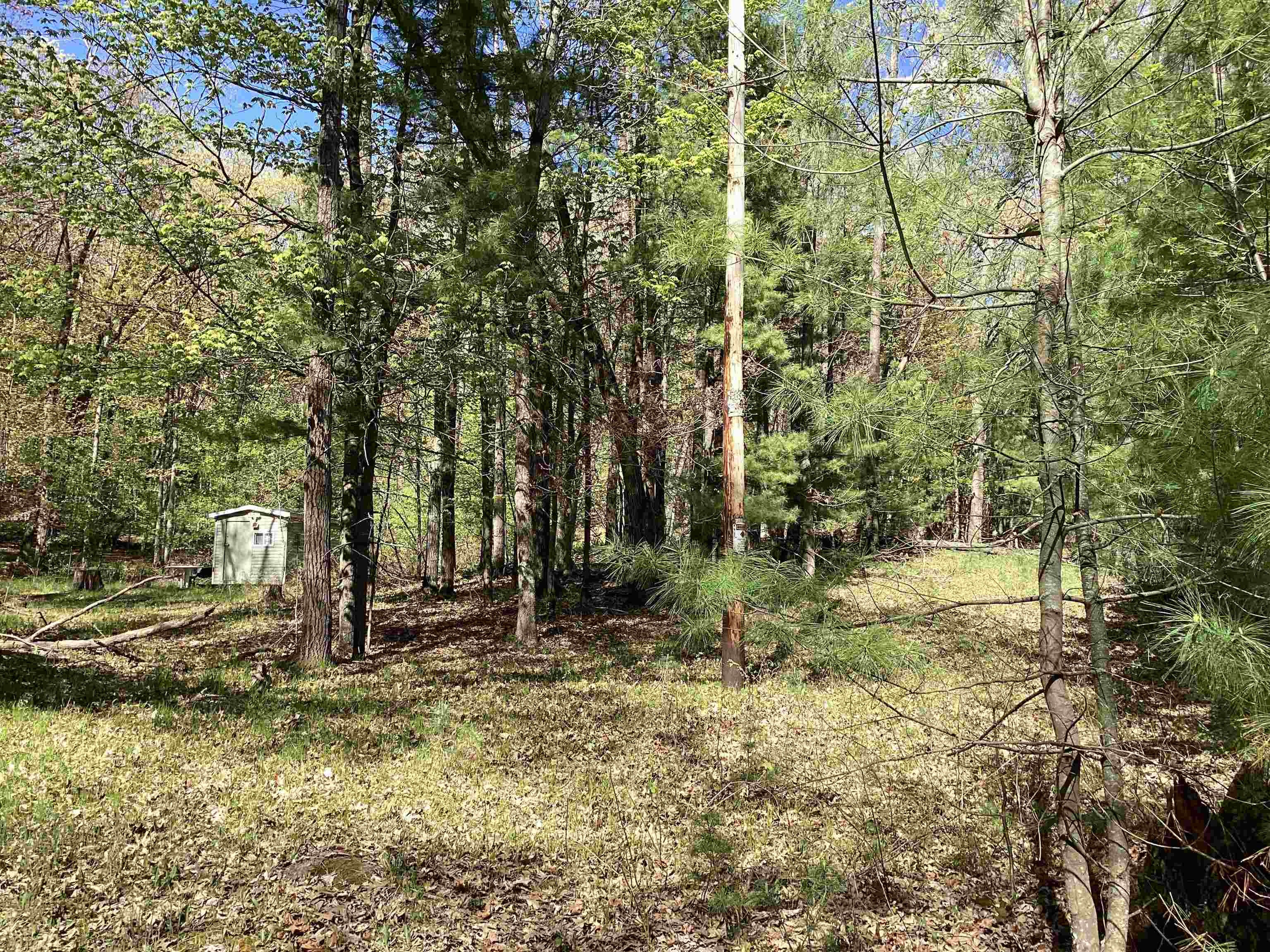 W3006 Ridge Road Pine River, WI 54965 - Photo 4 of 5