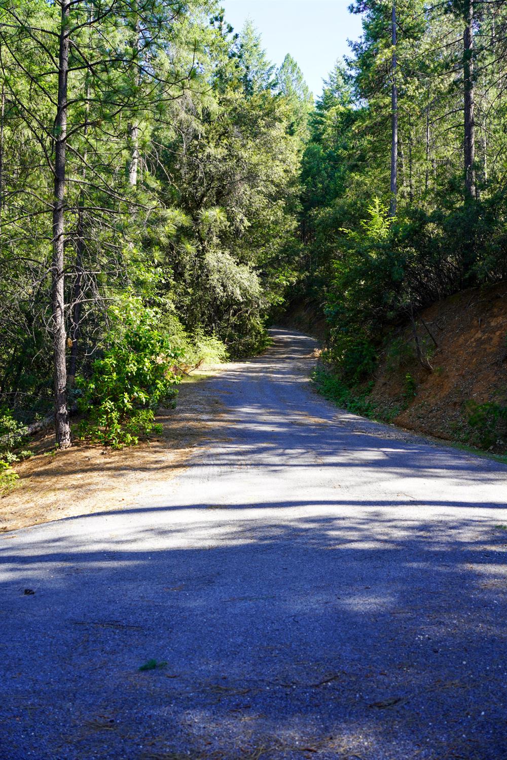 30220 Magra Road Gold Run, CA 95717 - Photo 41 of 51