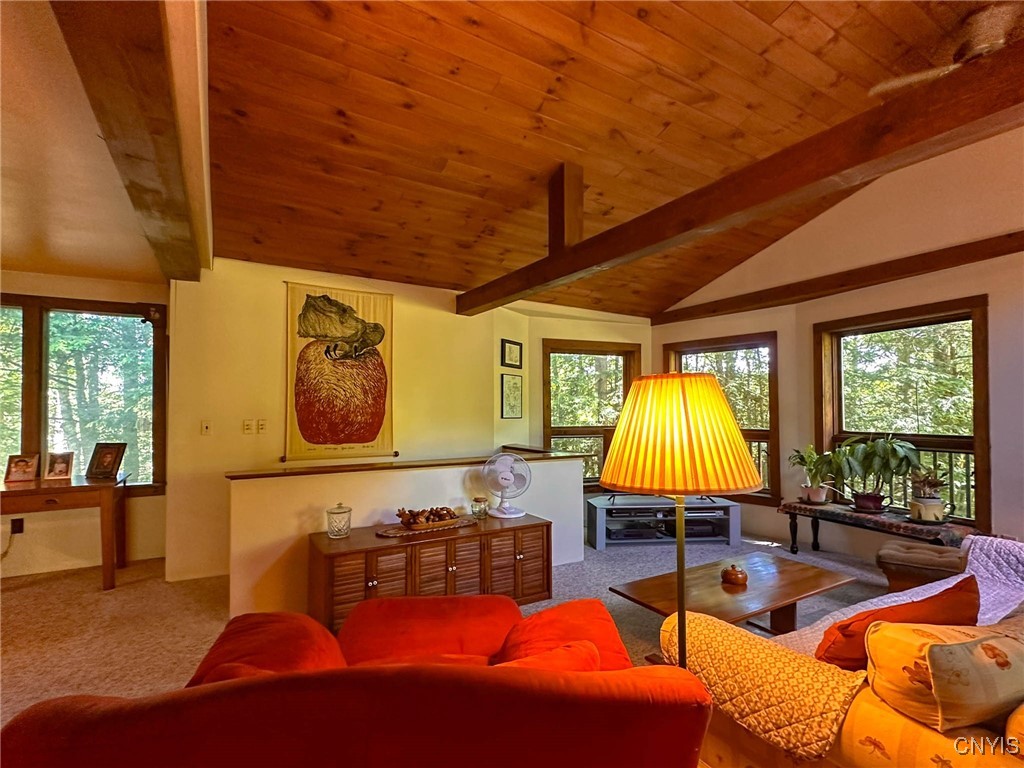 7764 Cameron Hill Road Deerfield, NY 13304 - Photo 11 of 49