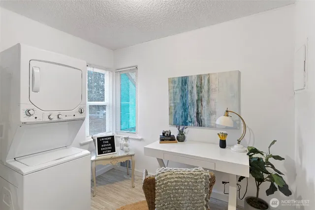 a view of a yard with plants and large trees