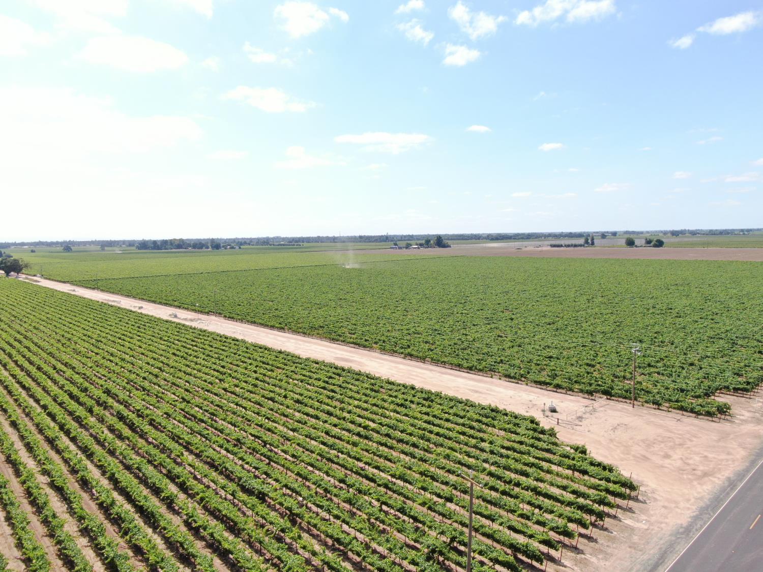 20271 Devries Road Lodi, CA 95242 - Photo 7 of 11