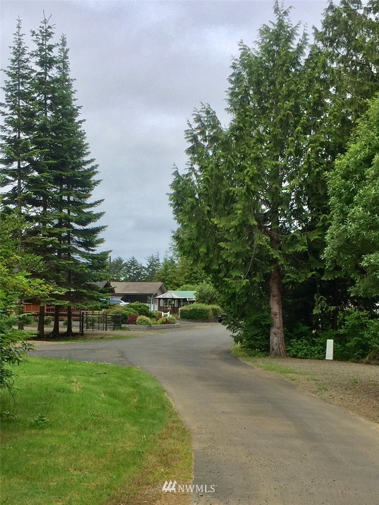 29 Copalis Rv Lane Copalis Beach, WA 98535 - Photo 11 of 11 Gallery Image 11