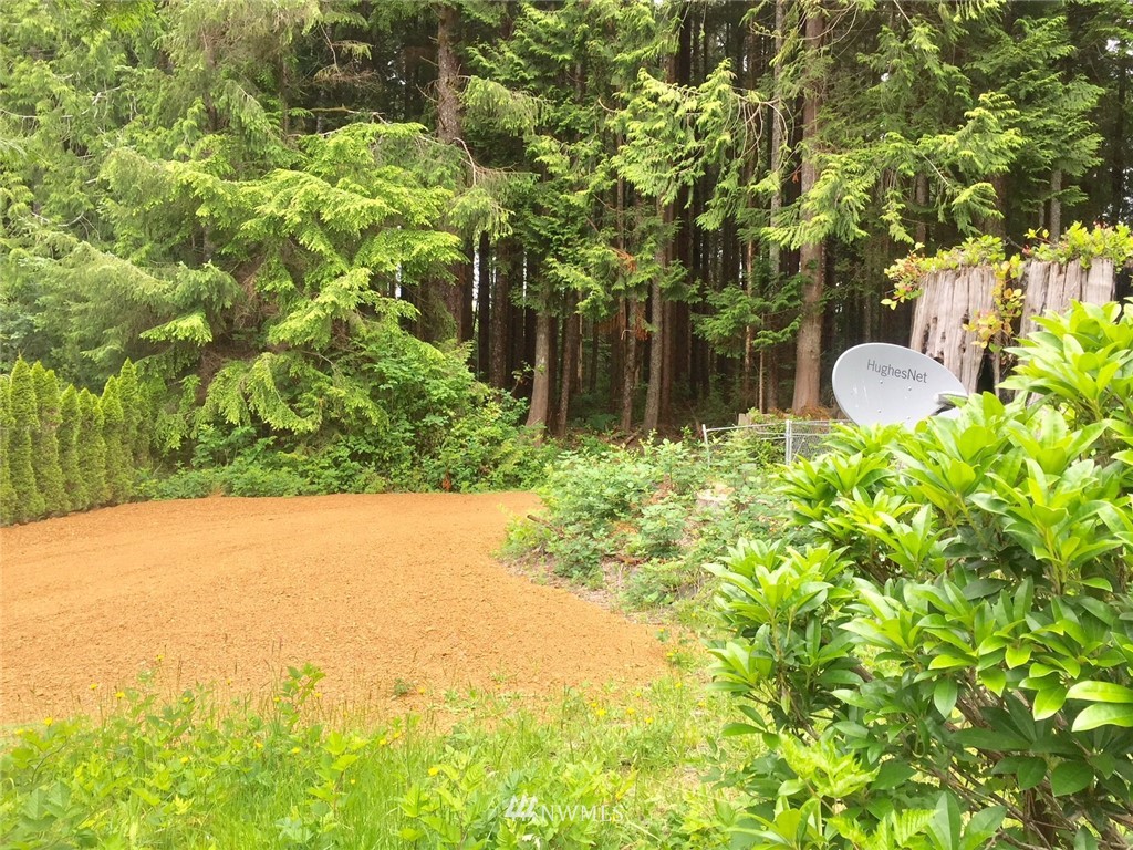 29 Copalis Rv Lane Copalis Beach, WA 98535 - Photo 10 of 11 Gallery Image 10