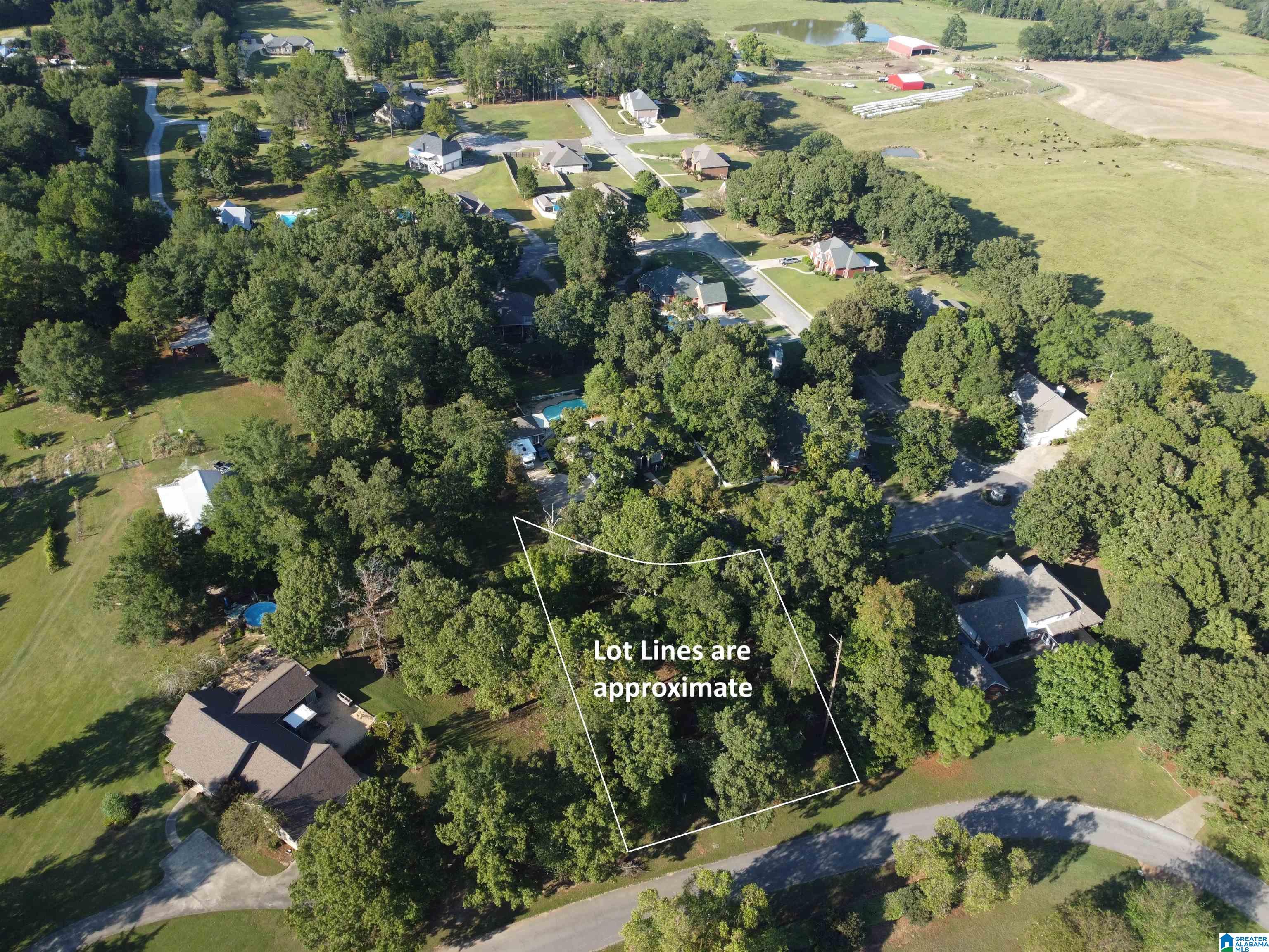 Lot 16 Riley Circle, Unit 16 Thorsby, AL 35171 - Photo 4 of 19