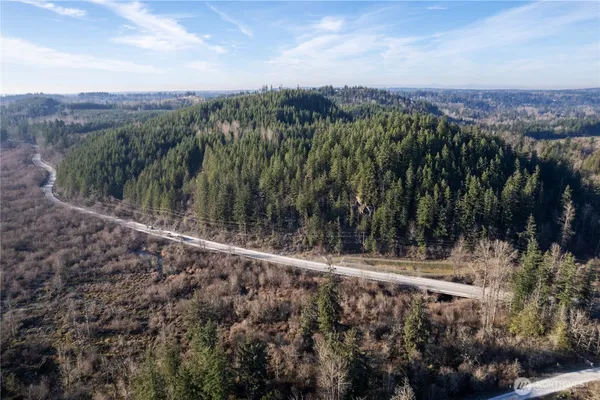 $6,880,000 | -290.4-ac 290.4-ac Orville Road East, Graham, WA 98338