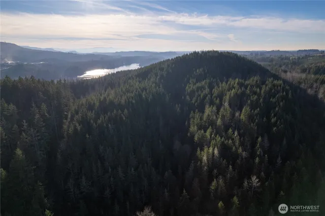 $7,200,000 | -290.4-ac 290.4-ac Orville Road East, Graham, WA 98338