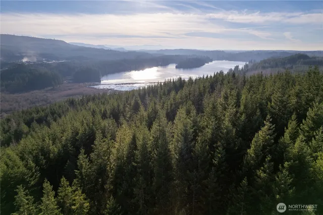 $7,200,000 | -290.4-ac 290.4-ac Orville Road East, Graham, WA 98338