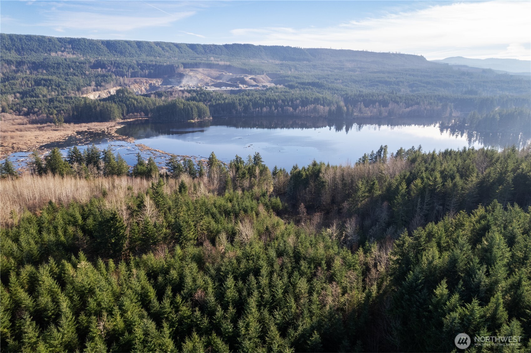 -290.4-ac 290.4-ac Orville Road East Graham, WA 98338 - Photo 8 of 15