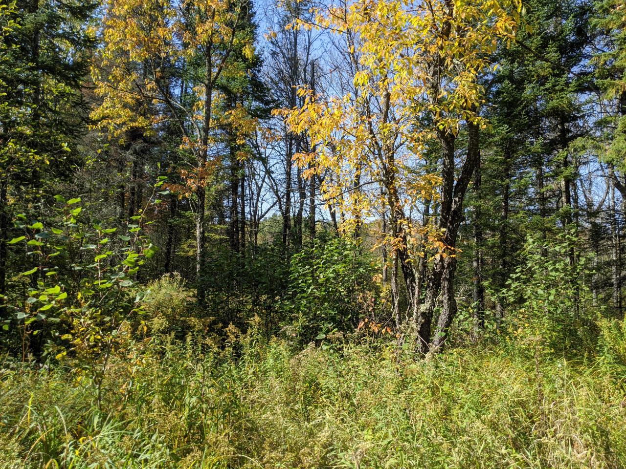 W12020 Price Creek Road Phillips, WI 54555 - Photo 11 of 28 Gallery Image 11