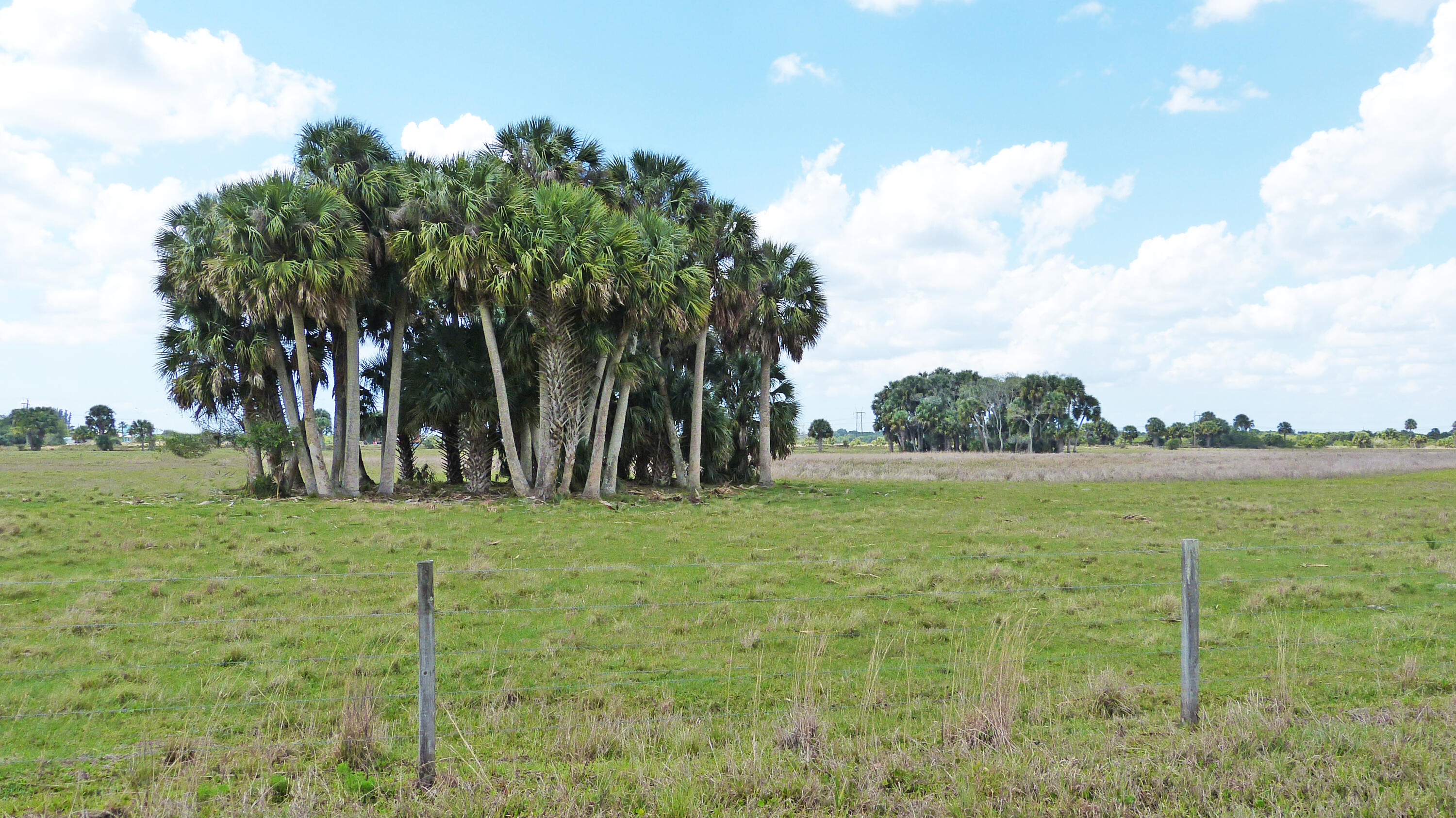 8590 Carlton Road Port St. Lucie, FL 34987 - Photo 3 of 27 P1020922
