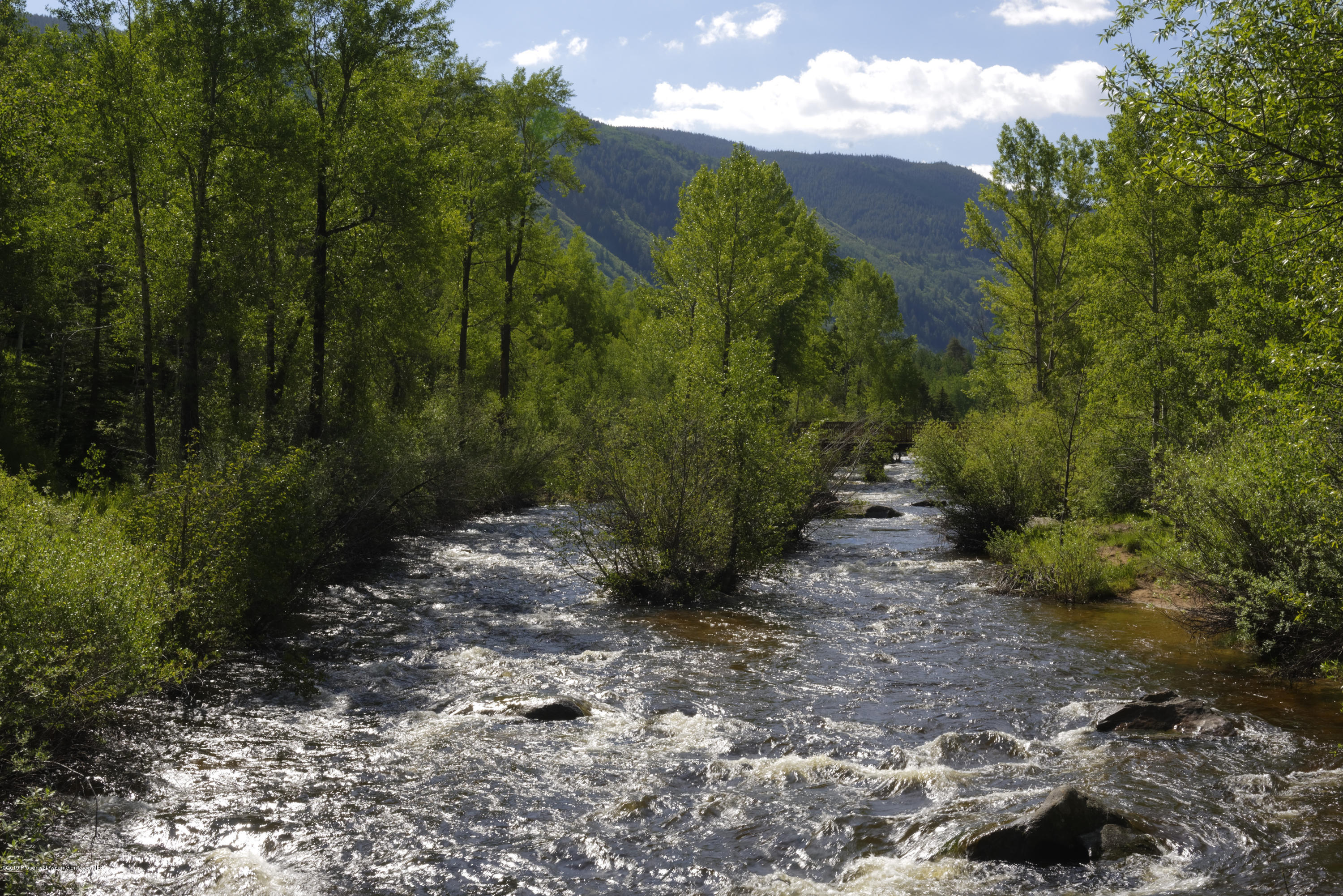 1417 Crystal Lake Road Aspen, CO 81611 - Photo 32 of 36 a view of a yard with plants and large trees