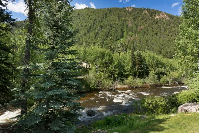a view of a yard with a tree