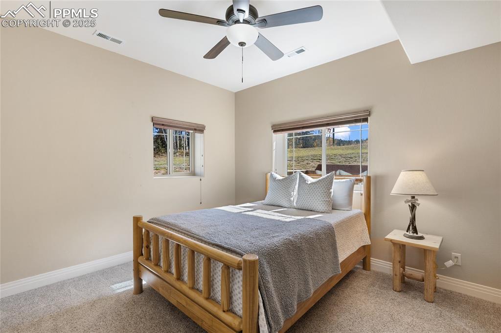 19 Worley Road Divide, CO 80814 - Photo 27 of 31 The second of two lower level bedrooms