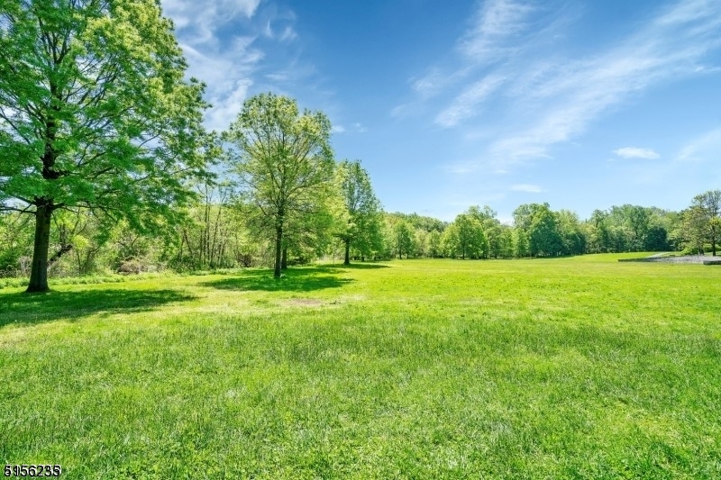 83 Springfield Avenue, Unit A Summit, NJ 07901 - Photo 12 of 14 a view of field with tall trees