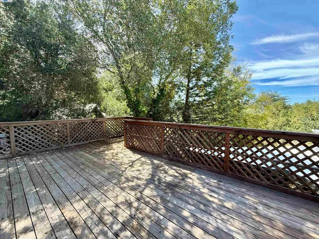 a view of a backyard with plants and large trees