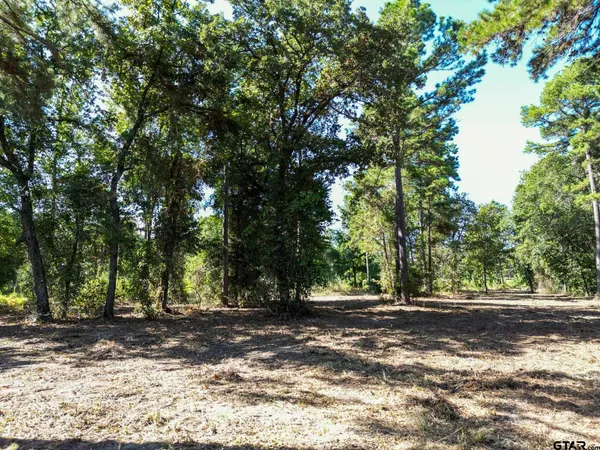 a view of outdoor space with tree