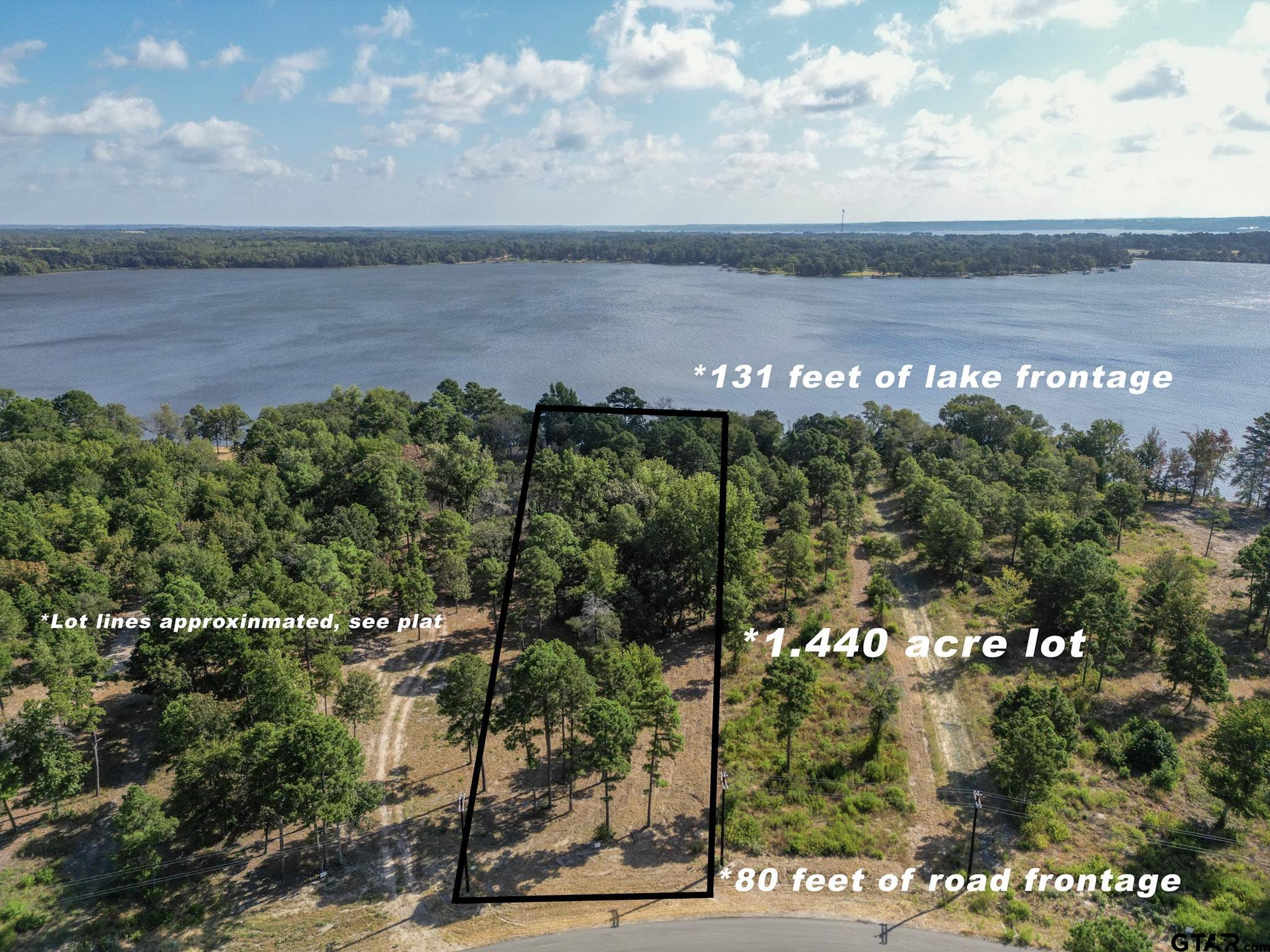 3146 Shadow Pine Drive Larue, TX 75770 - Photo 13 of 14 a view of a lake