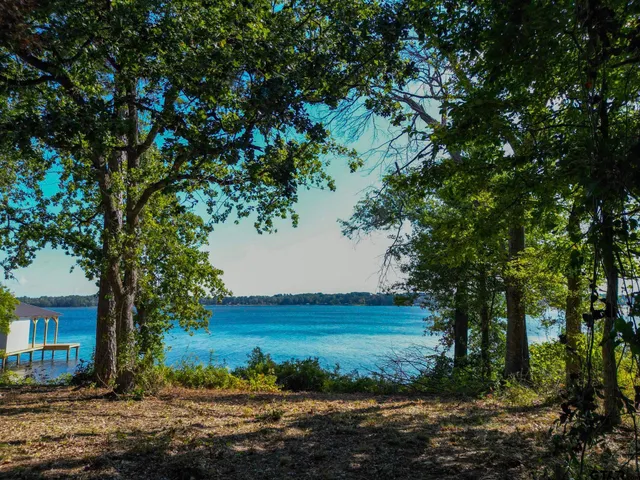 a view of a lake with a tree