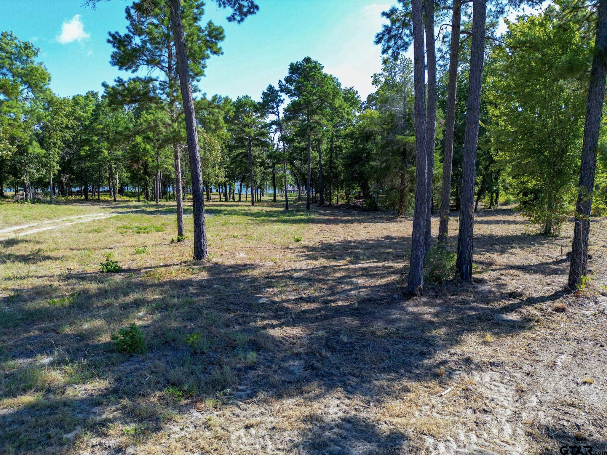 3146 Shadow Pine Drive Larue, TX 75770 - Photo 2 of 14