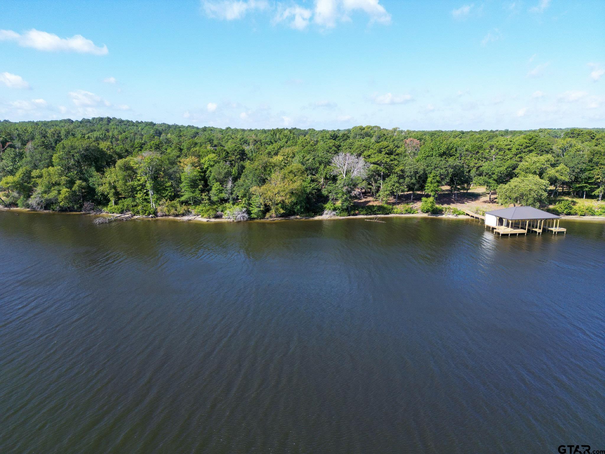 3146 Shadow Pine Drive Larue, TX 75770 - Photo 4 of 14 an aerial view of residential houses with outdoor space and trees