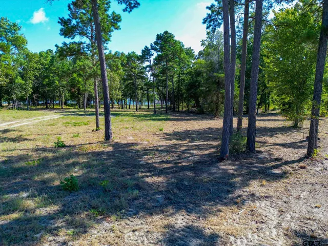 a view of a yard with of swings