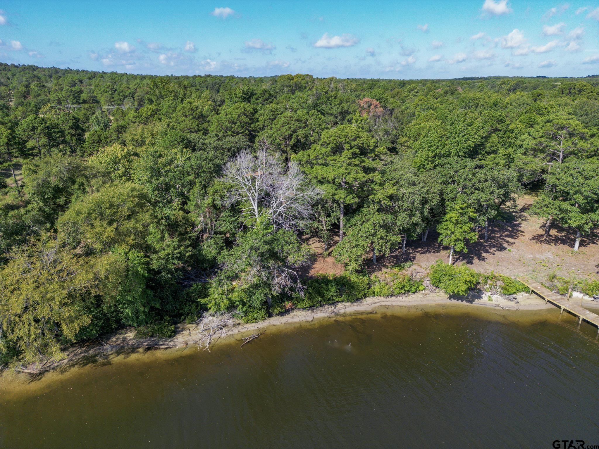 3146 Shadow Pine Drive Larue, TX 75770 - Photo 7 of 14