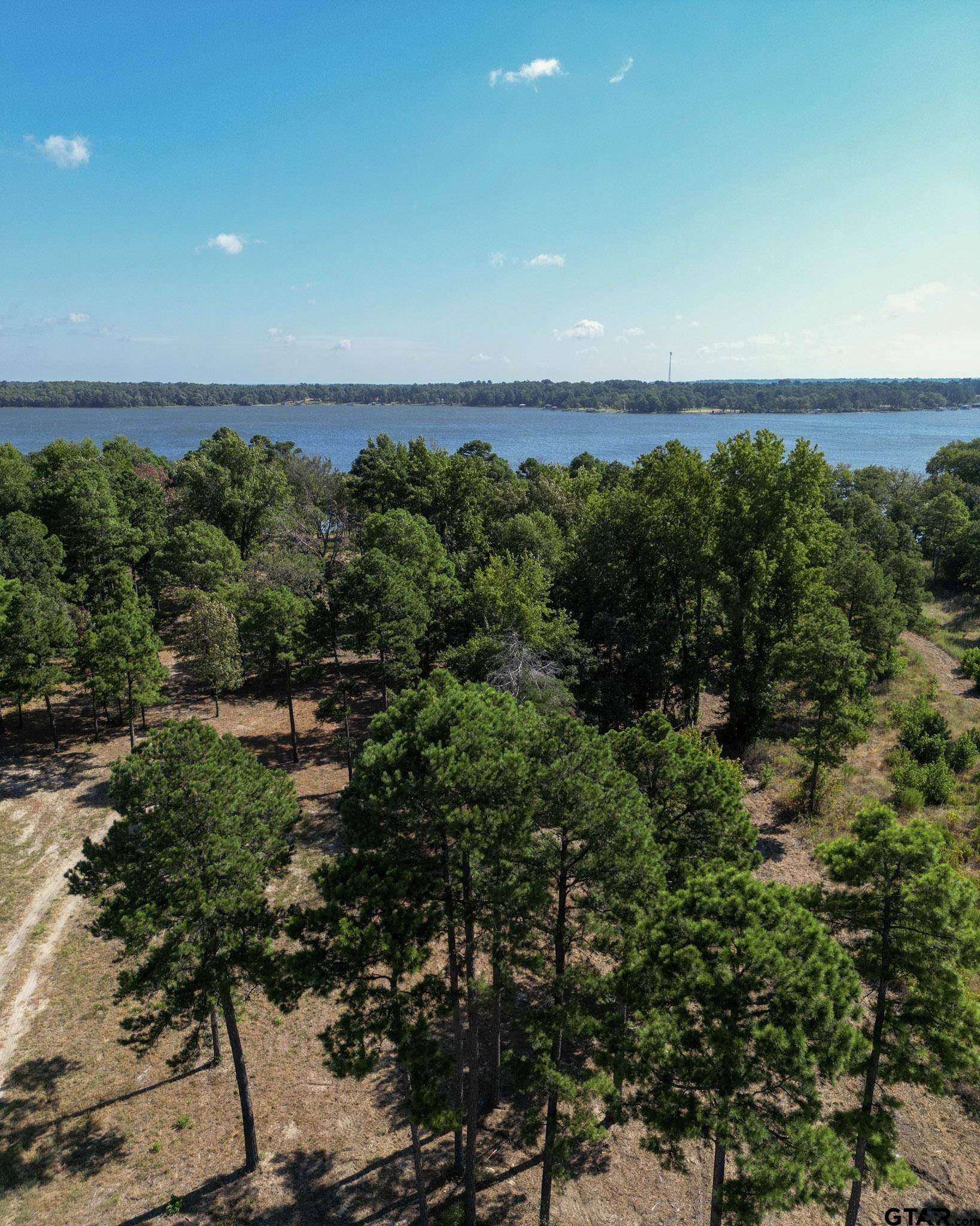 3146 Shadow Pine Drive Larue, TX 75770 - Photo 8 of 14 an aerial view of a house with a yard