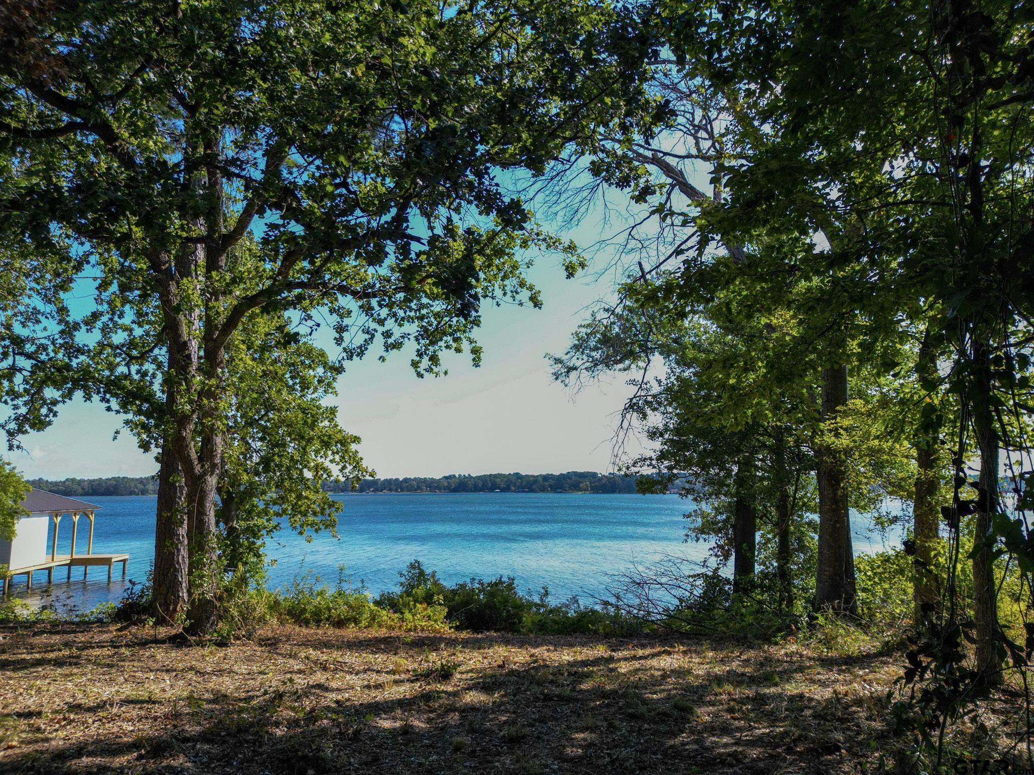 3146 Shadow Pine Drive Larue, TX 75770 - Photo 9 of 14