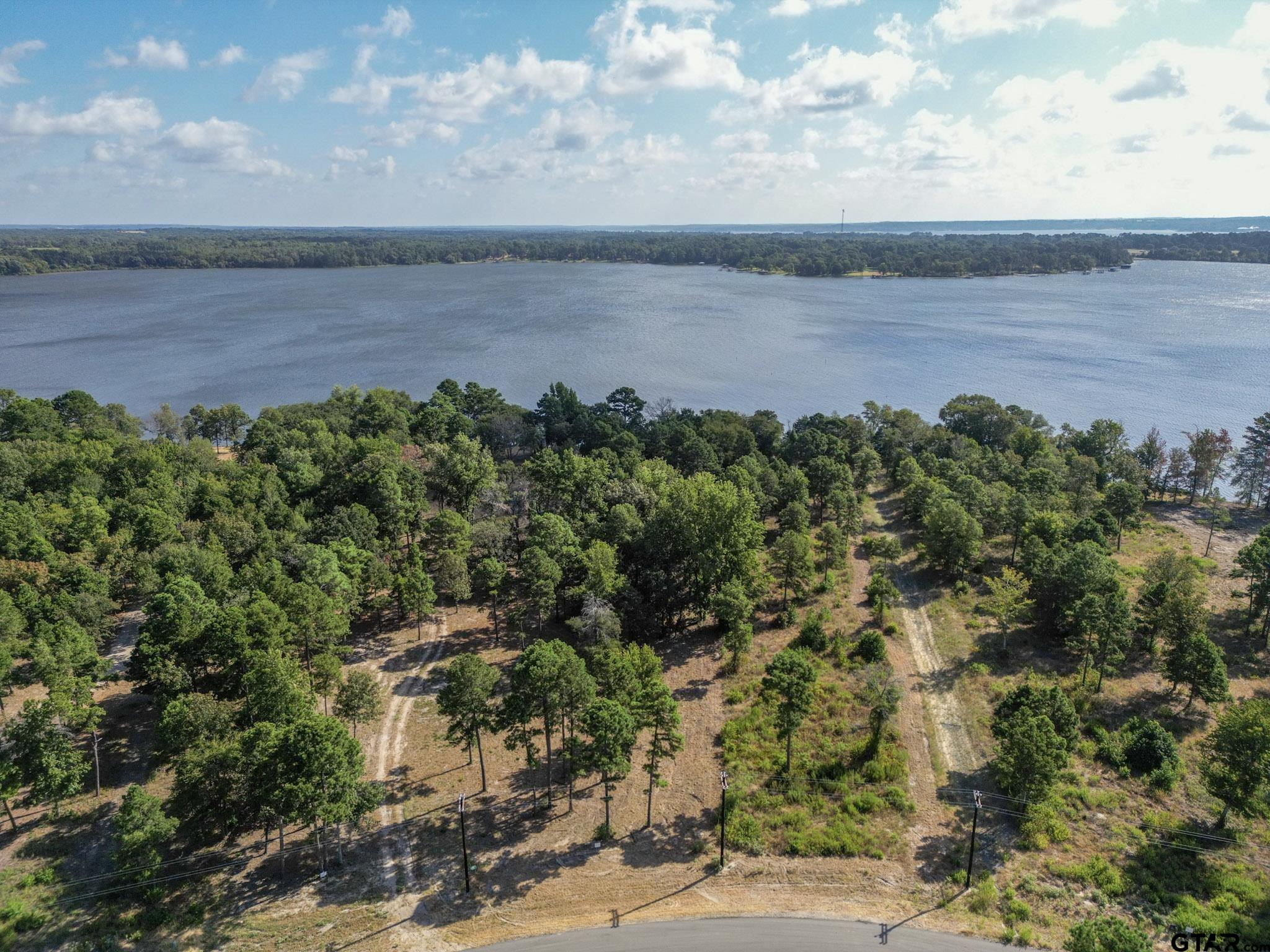 3146 Shadow Pine Drive Larue, TX 75770 - Photo 10 of 14 a view of a lake