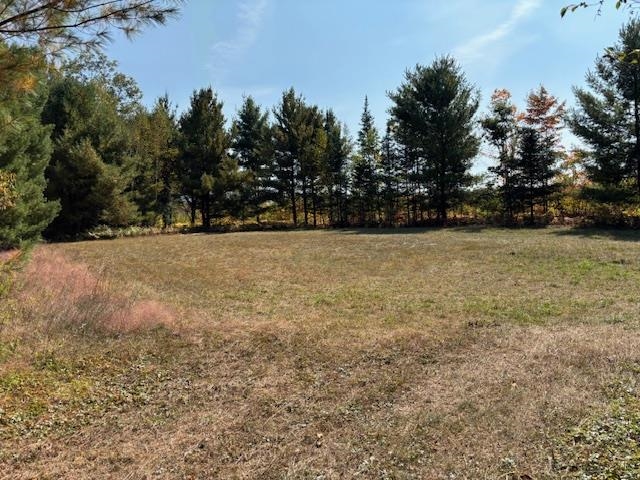 1831 Kitchen Road Turner, MI 48765 - Photo 20 of 23