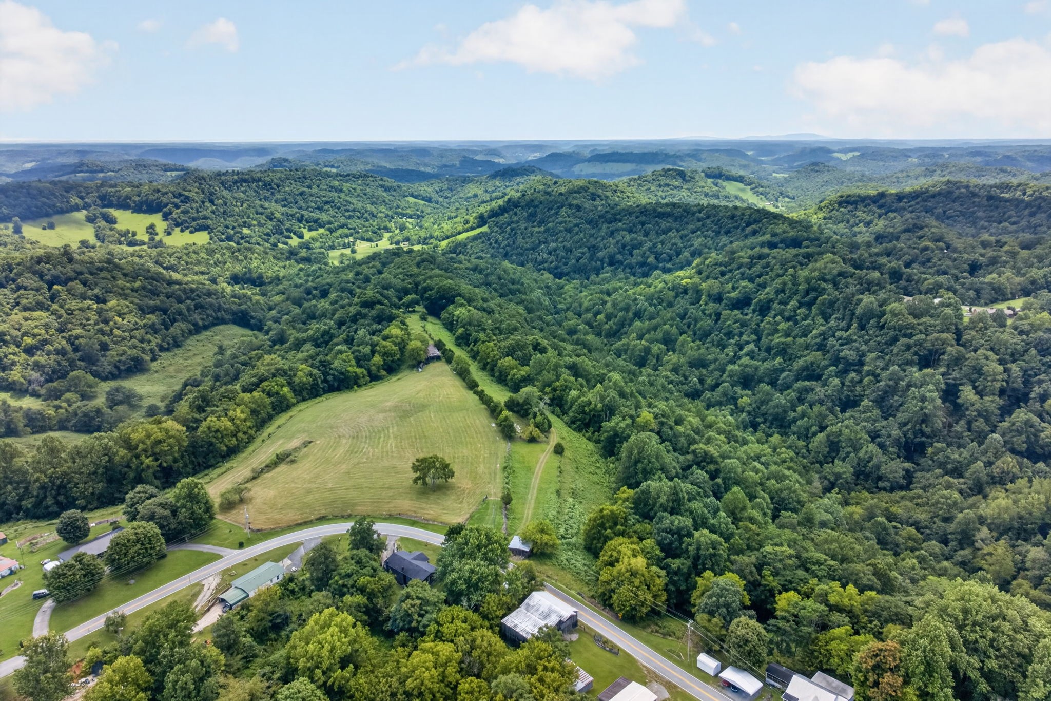 0 Pea Ridge Road Chestnut Mound, TN 38552 - Photo 16 of 20 Gallery Image 16