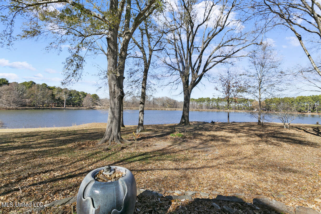 150 Trails End Flora, MS 39071 - Photo 45 of 51 150 trails end final-34