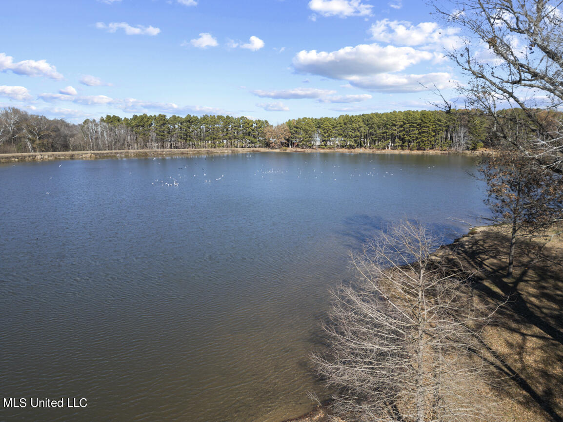 150 Trails End Flora, MS 39071 - Photo 51 of 51 150 trails end drone final-4