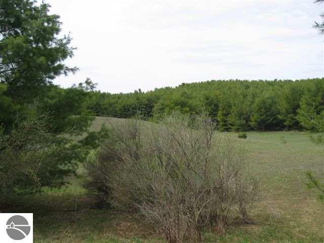 0 West Silver Lake Road Traverse City, MI 49684 - Photo 4 of 10