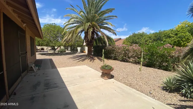 a swimming pool with a potted plants