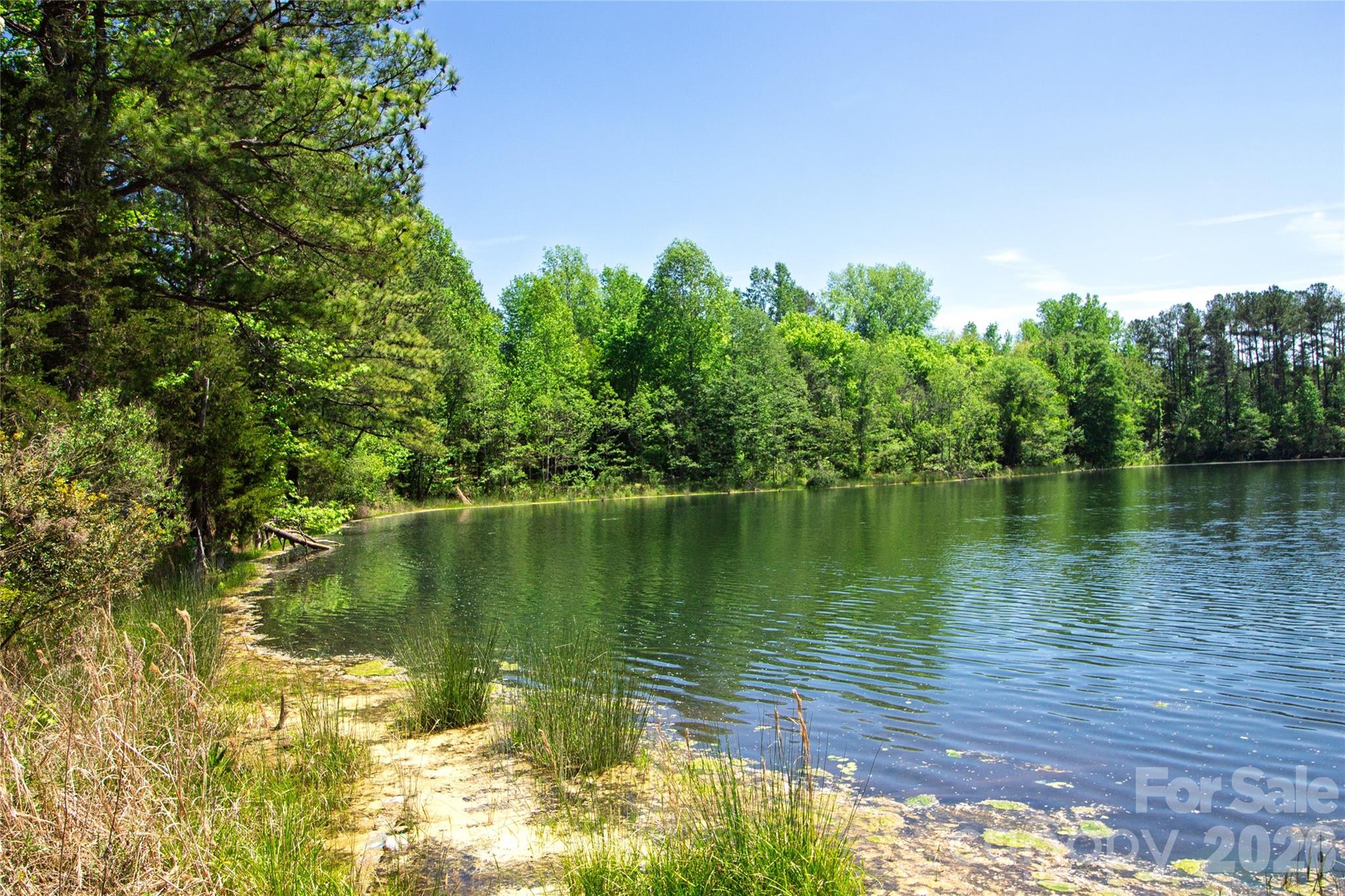 N/a Mill Creek Road Blacksburg, SC 29702 - Photo 11 of 14