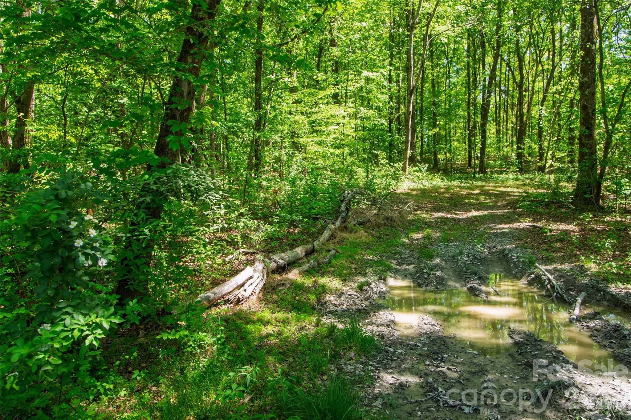 N/a Mill Creek Road Blacksburg, SC 29702 - Photo 12 of 14