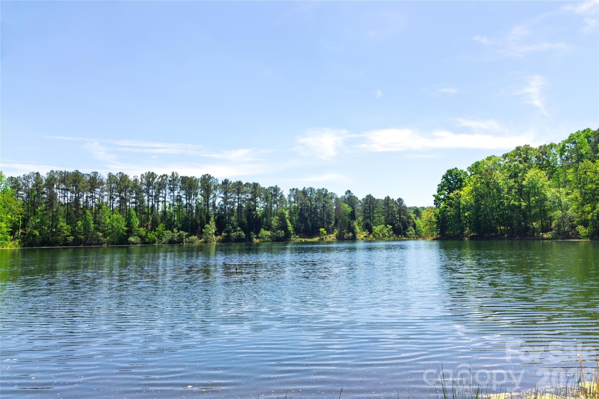 N/a Mill Creek Road Blacksburg, SC 29702 - Photo 8 of 14