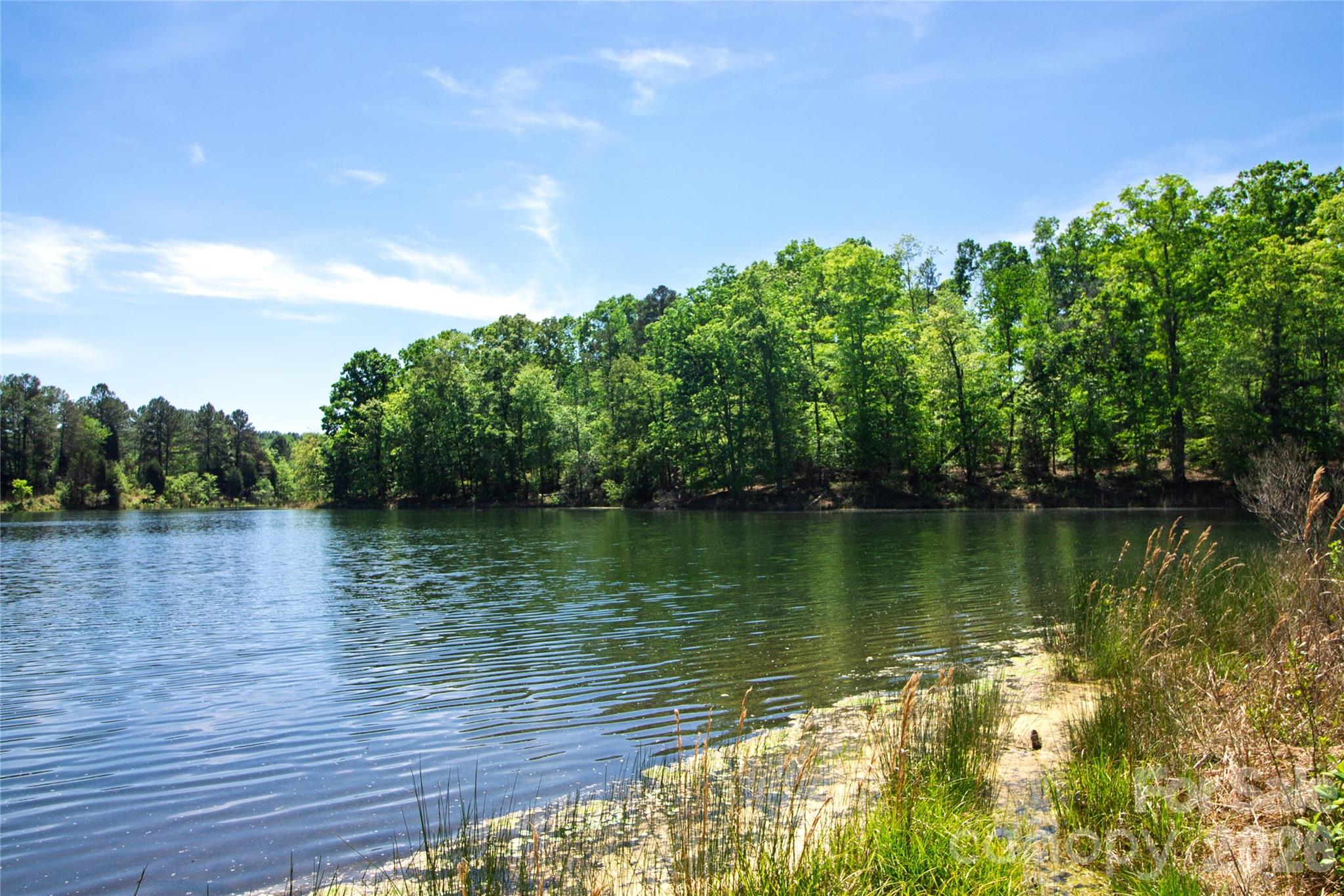 N/a Mill Creek Road Blacksburg, SC 29702 - Photo 9 of 14