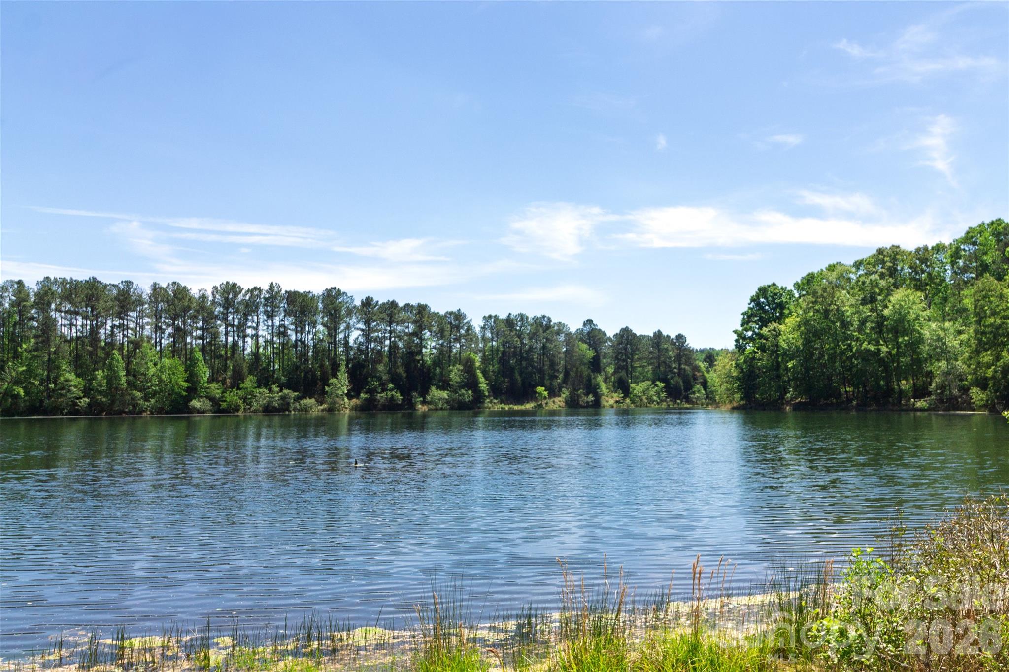 N/a Mill Creek Road Blacksburg, SC 29702 - Photo 10 of 14