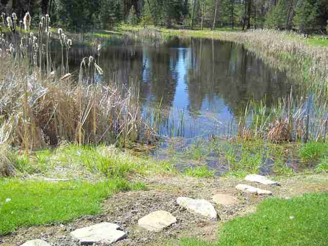 3420 East Bailey Road Deer Park, WA 99006 - Photo 8 of 9