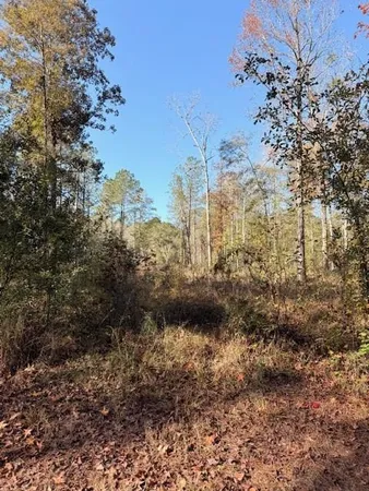 $95,000 | 42217 Pasqua Road, Ponchatoula, LA 70454