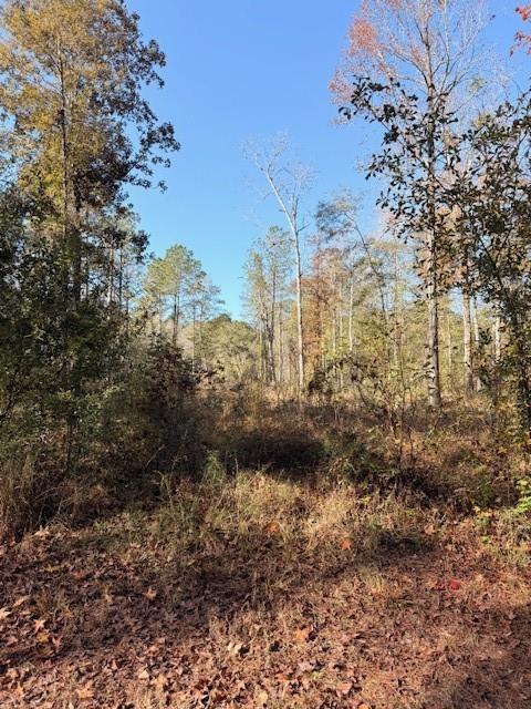 42217 Pasqua Road Ponchatoula, LA 70454 - Photo 3 of 3