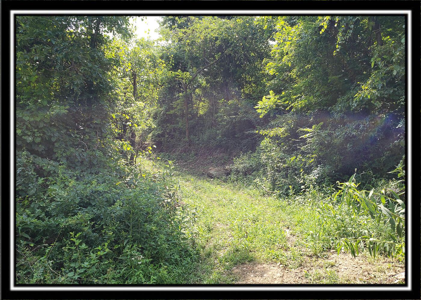 0 Bethel Road, Unit TRACT 4 Patriot, OH 45658 - Photo 16 of 35 CT-16